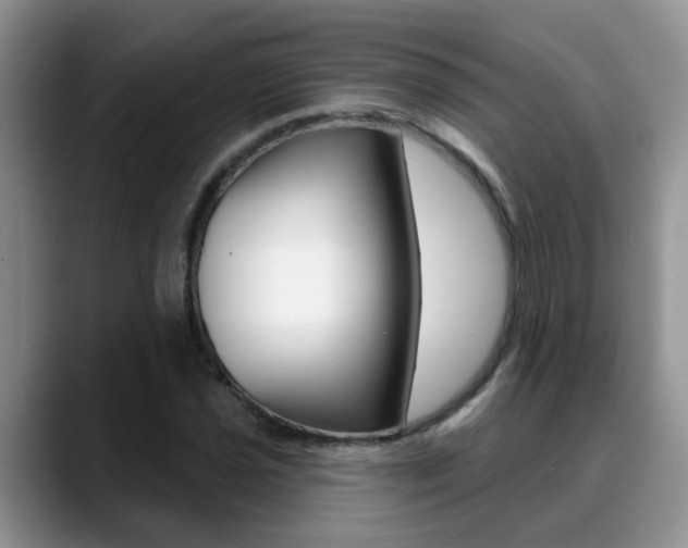 X0000089391021200706150927