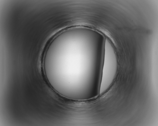 X0000089391024200706150927