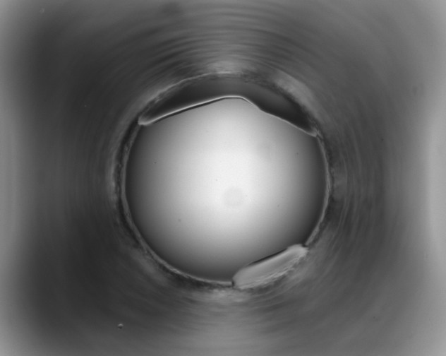 X0000089391026200706150927