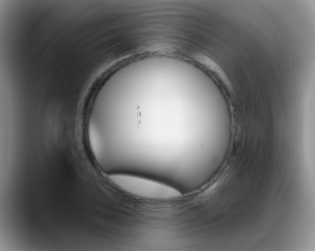 X0000089391027200706150927