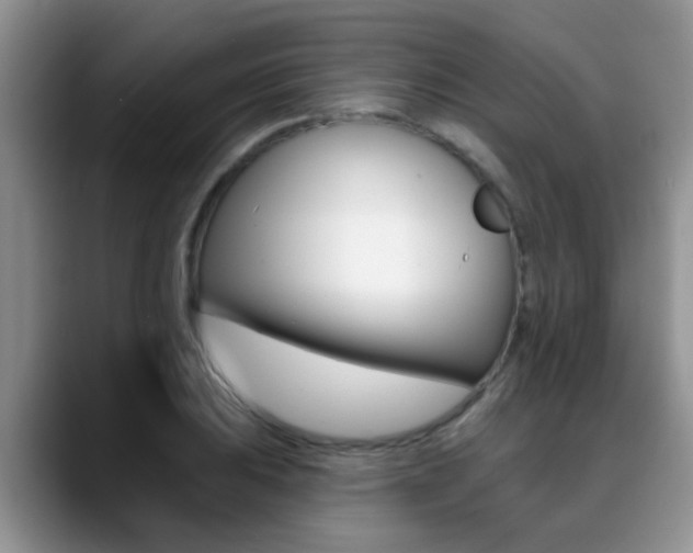 X0000089391031200706150927