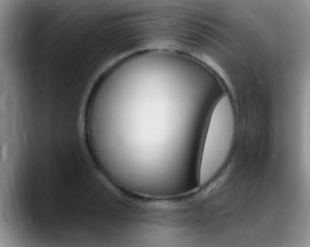 X0000089391037200706150927