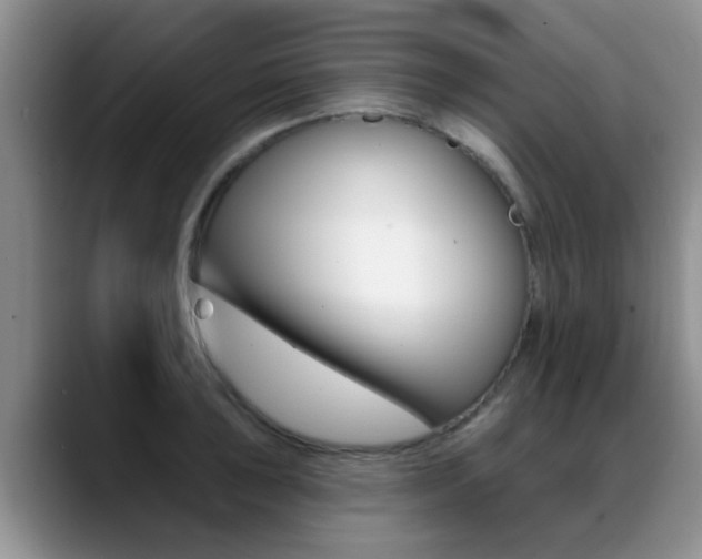 X0000089391043200706150927