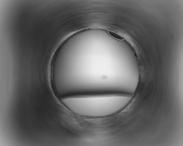 X0000089391048200706150927