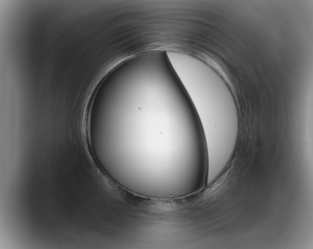 X0000089391050200706150927