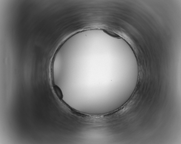 X0000089391055200706150927