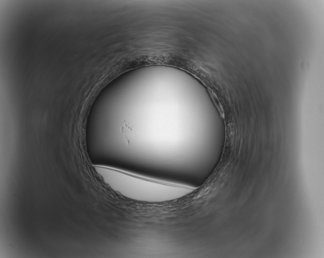 X0000089391057200706150927