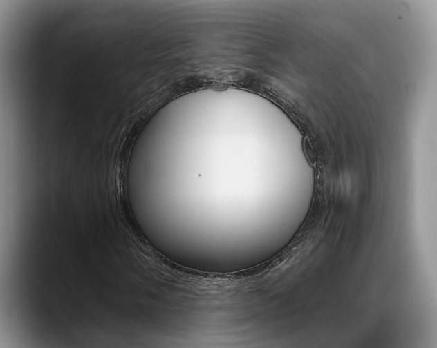 X0000089391058200706150927