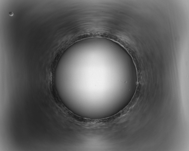 X0000089391061200706150927