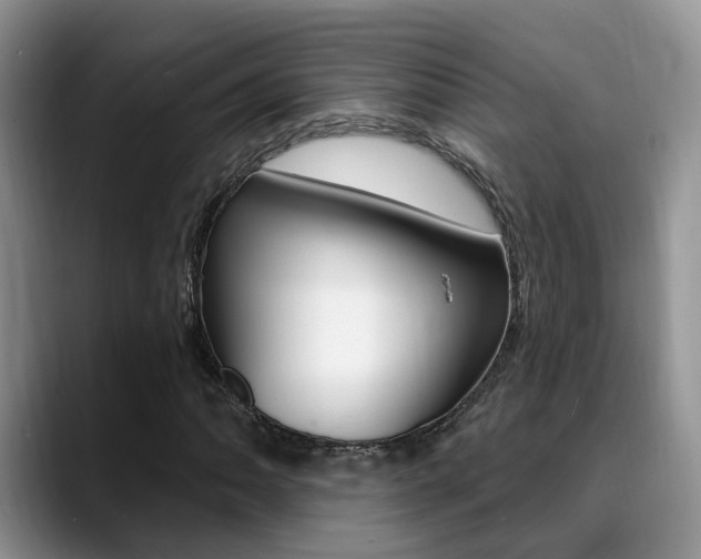 X0000089391062200706150927