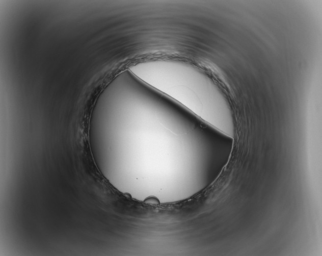 X0000089391064200706150927