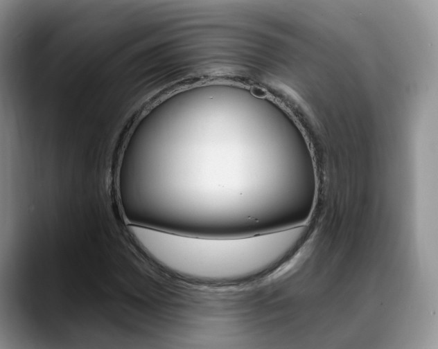X0000089391065200706150927