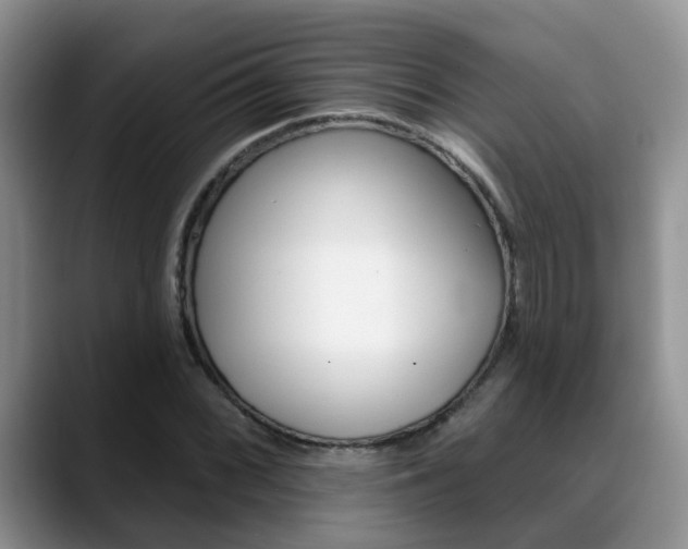 X0000089391068200706150927