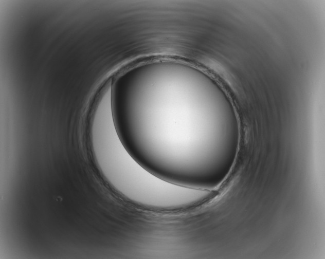 X0000089391069200706150927