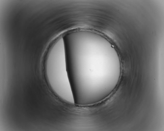 X0000089391070200706150927