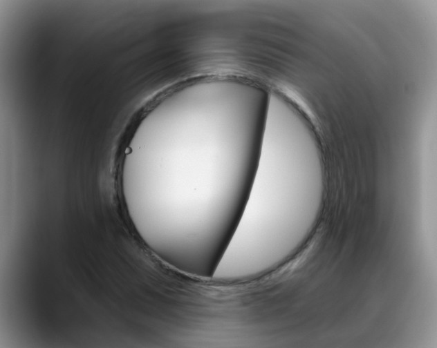 X0000089391071200706150927
