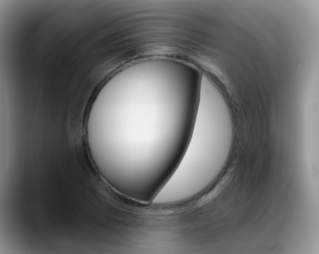 X0000089391073200706150926