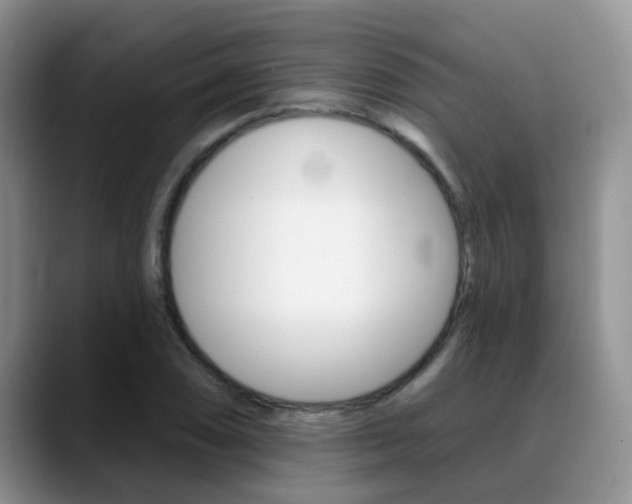 X0000089391074200706150926