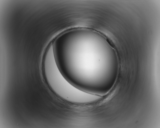 X0000089391077200706150926