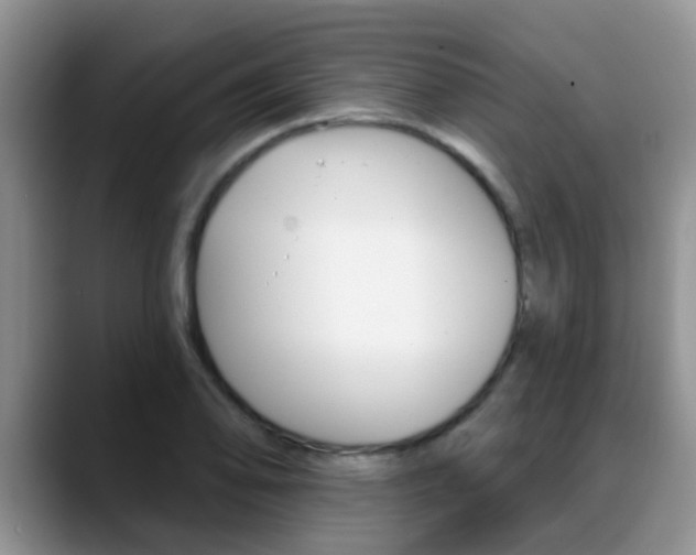 X0000089391078200706150926