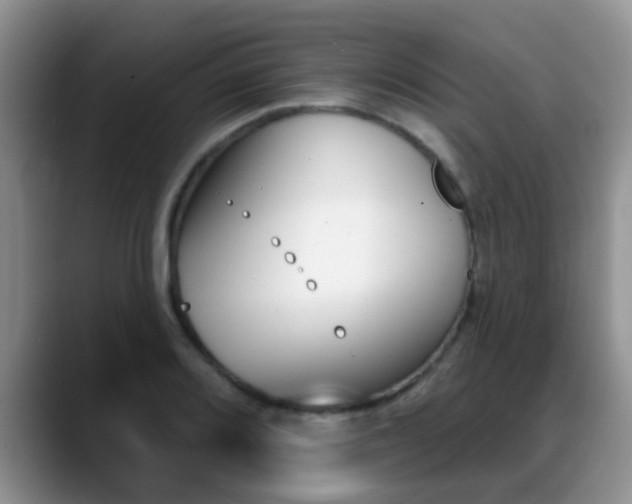 X0000089391080200706150926