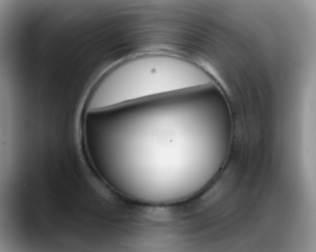 X0000089391082200706150926