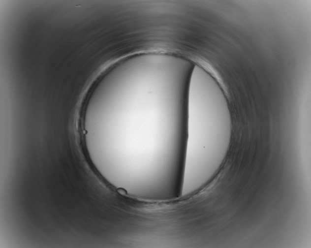 X0000089391091200706150926