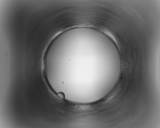 X0000089391095200706150926