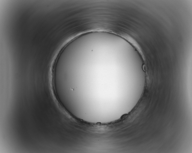 X0000089391096200706150926