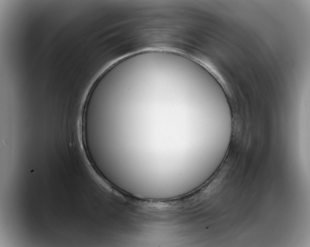 X0000089391100200706150926