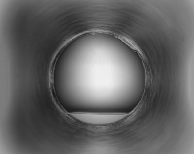X0000089391101200706150926