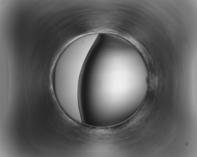 X0000089391102200706150926
