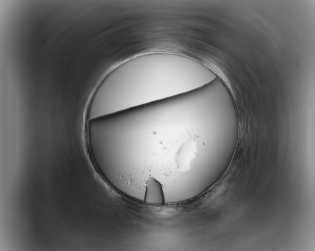 X0000089391103200706150926
