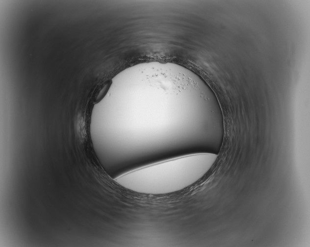 X0000089391106200706150925