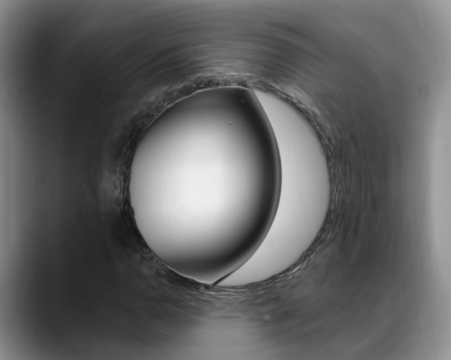 X0000089391110200706150926
