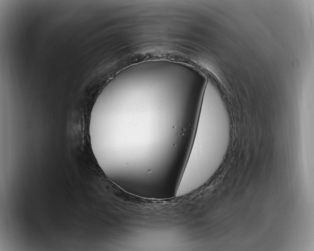 X0000089391111200706150926