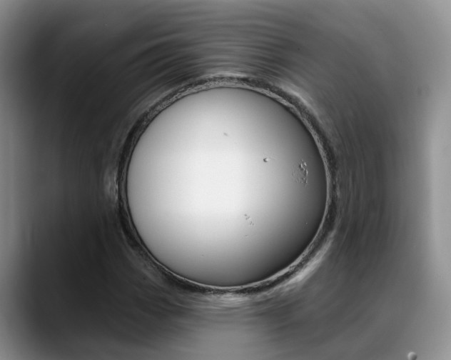 X0000089391113200706150926