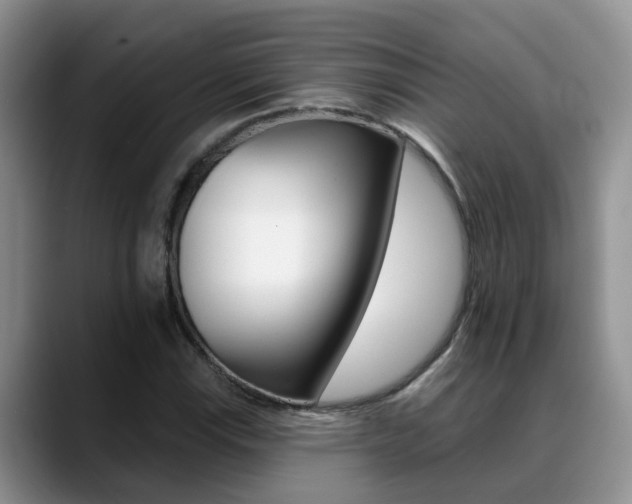 X0000089391115200706150926