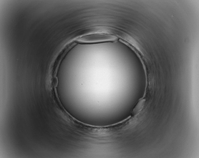 X0000089391116200706150926