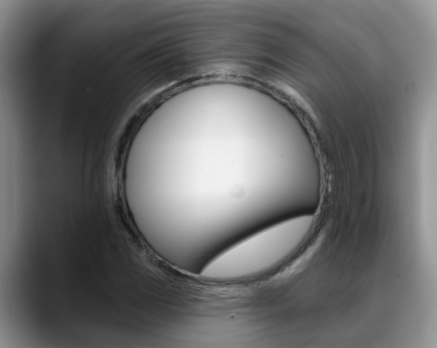 X0000089391117200706150926