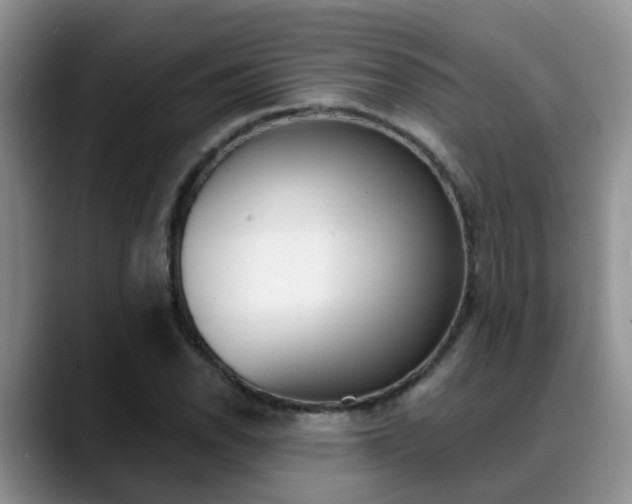 X0000089391118200706150926