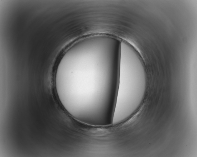 X0000089391119200706150926