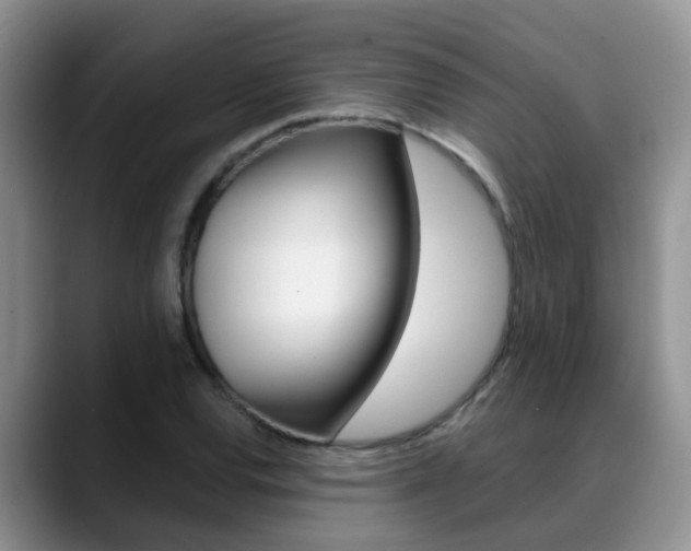 X0000089391120200706150926
