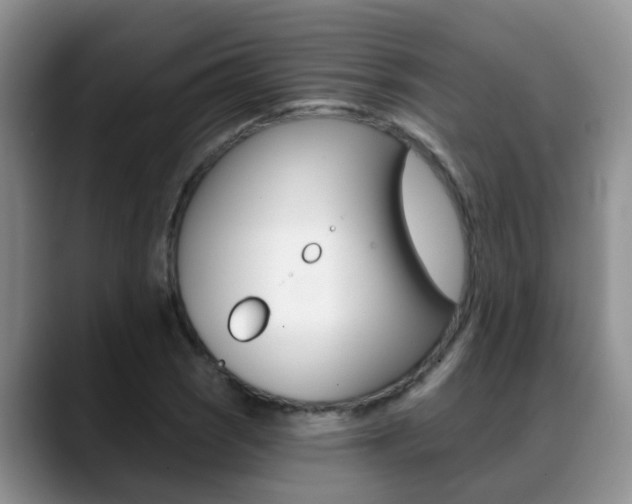 X0000089391121200706150926