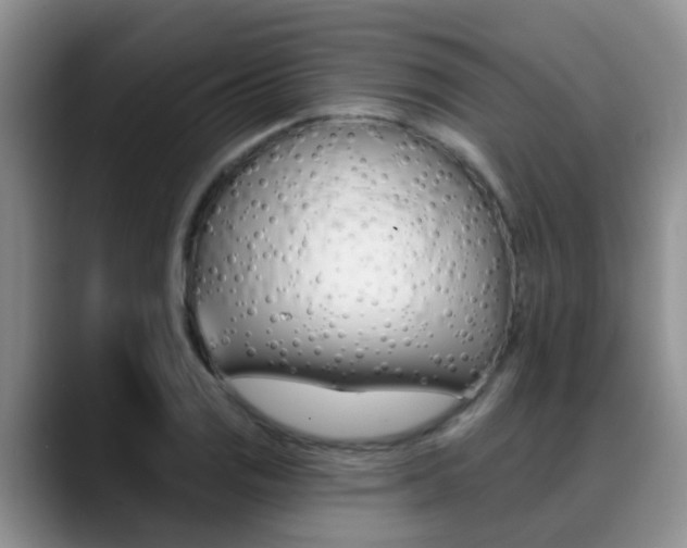 X0000089391125200706150926