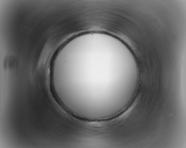X0000089391126200706150926