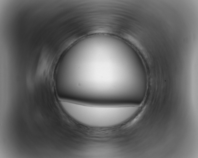 X0000089391129200706150926