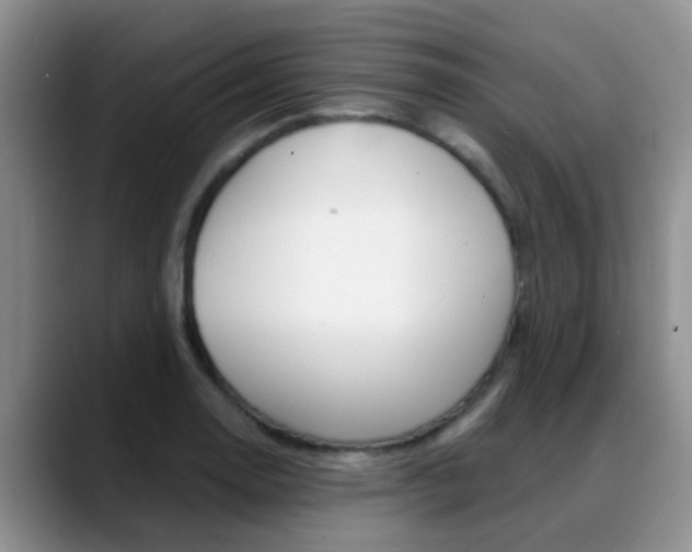 X0000089391130200706150926