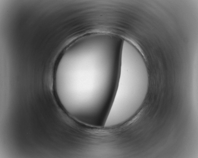 X0000089391131200706150926