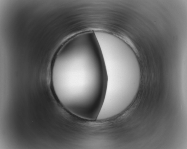 X0000089391132200706150926